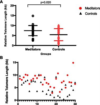 Associations of meditation with telomere dynamics: a case–control study in healthy adults